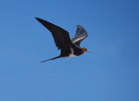 Entrance and Port - Broome